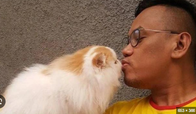 Kucing Uya Kuya terlihat tenang setelah insiden penjarahan rumah, duduk di atas sofa